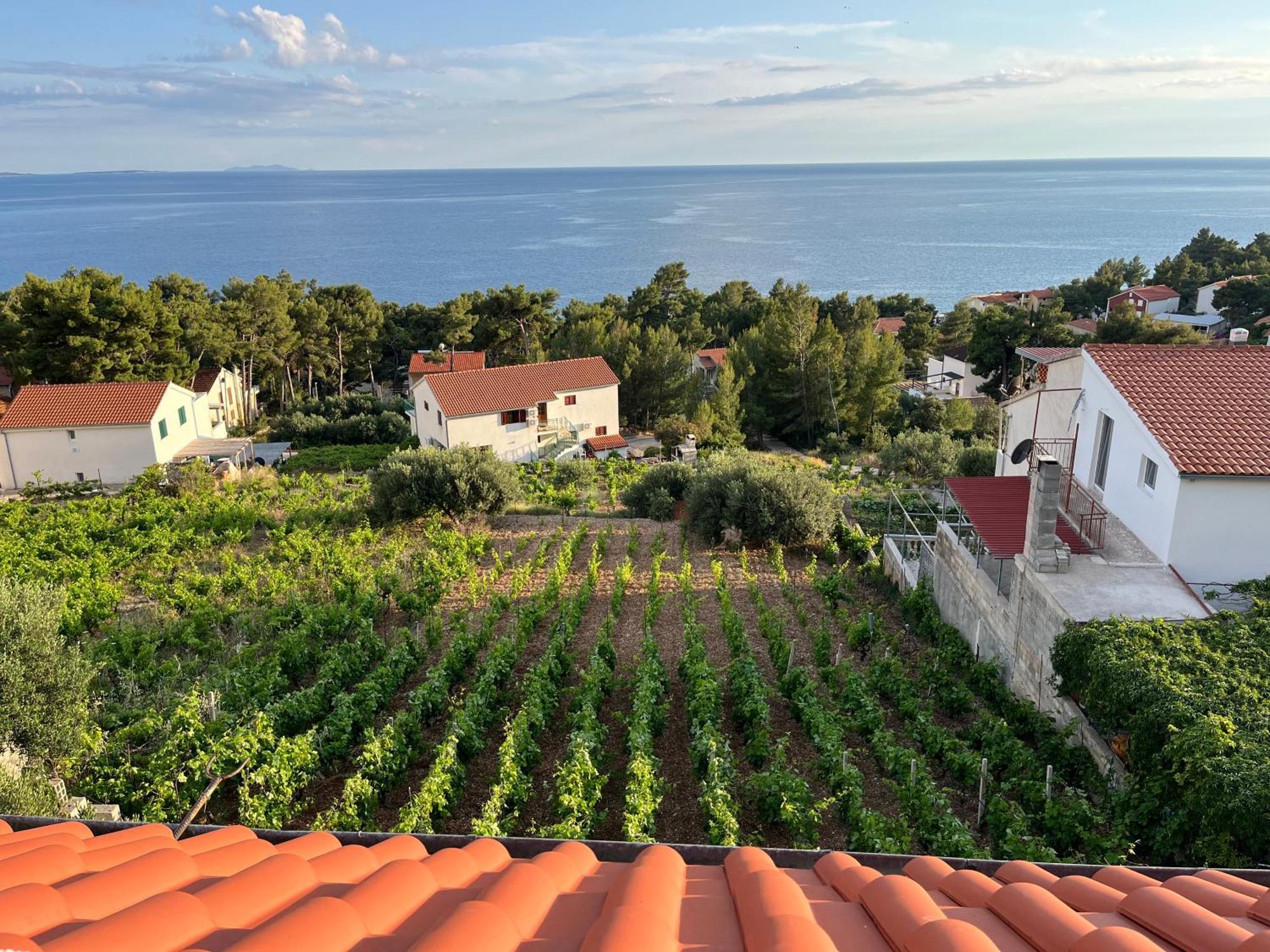 Apartmani "Nikola" Seaview - Ivan Dolac, Hvar Kültér fotó